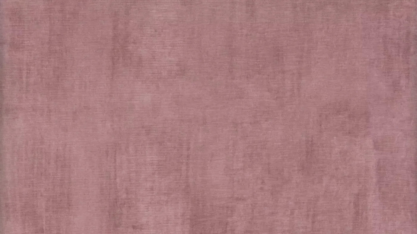 Alessandra 14X8 Ultracloth ( 168 X 96 Inch ) Backdrop