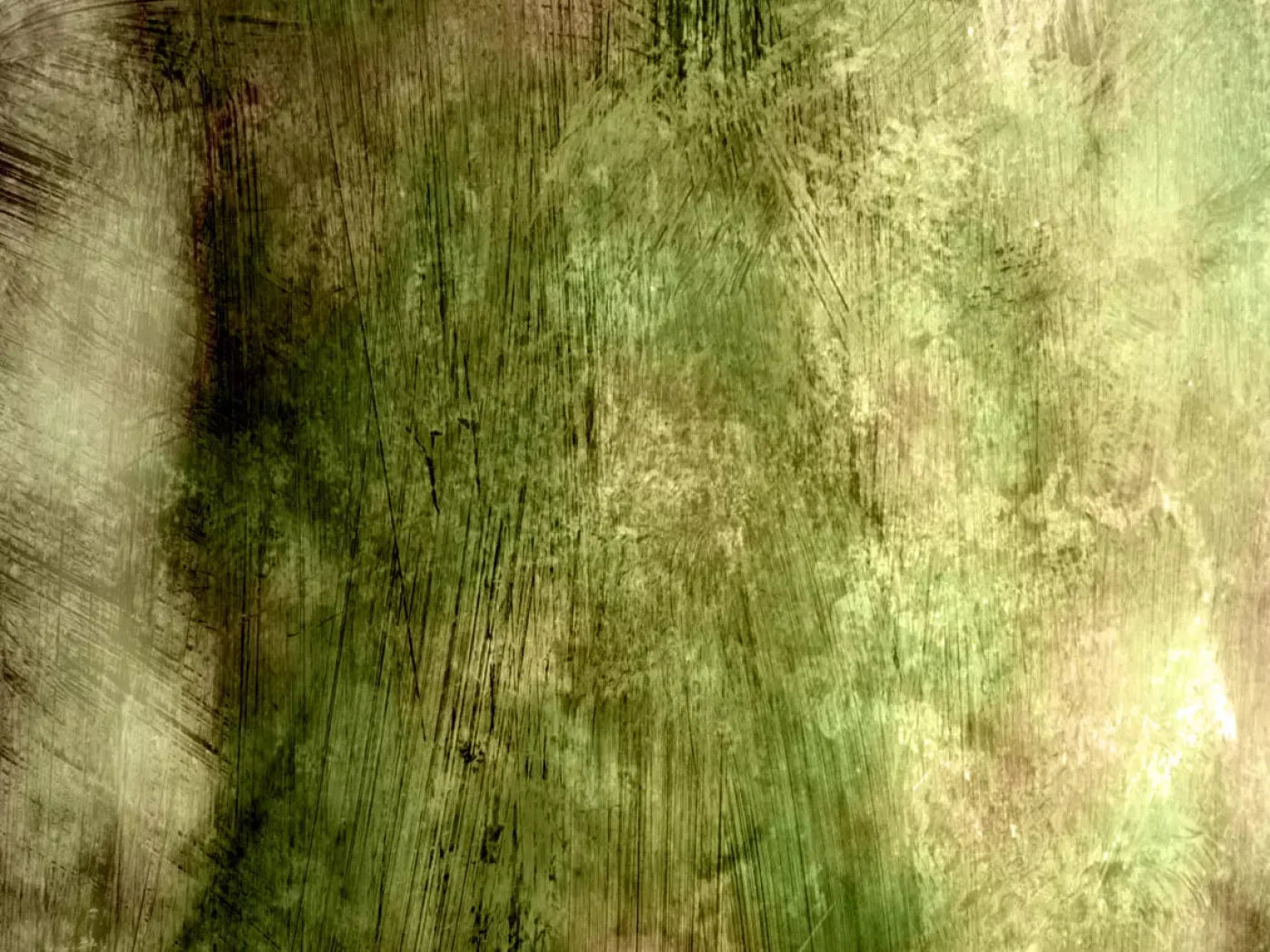 Algae 10X8 Fleece ( 120 X 96 Inch ) Backdrop