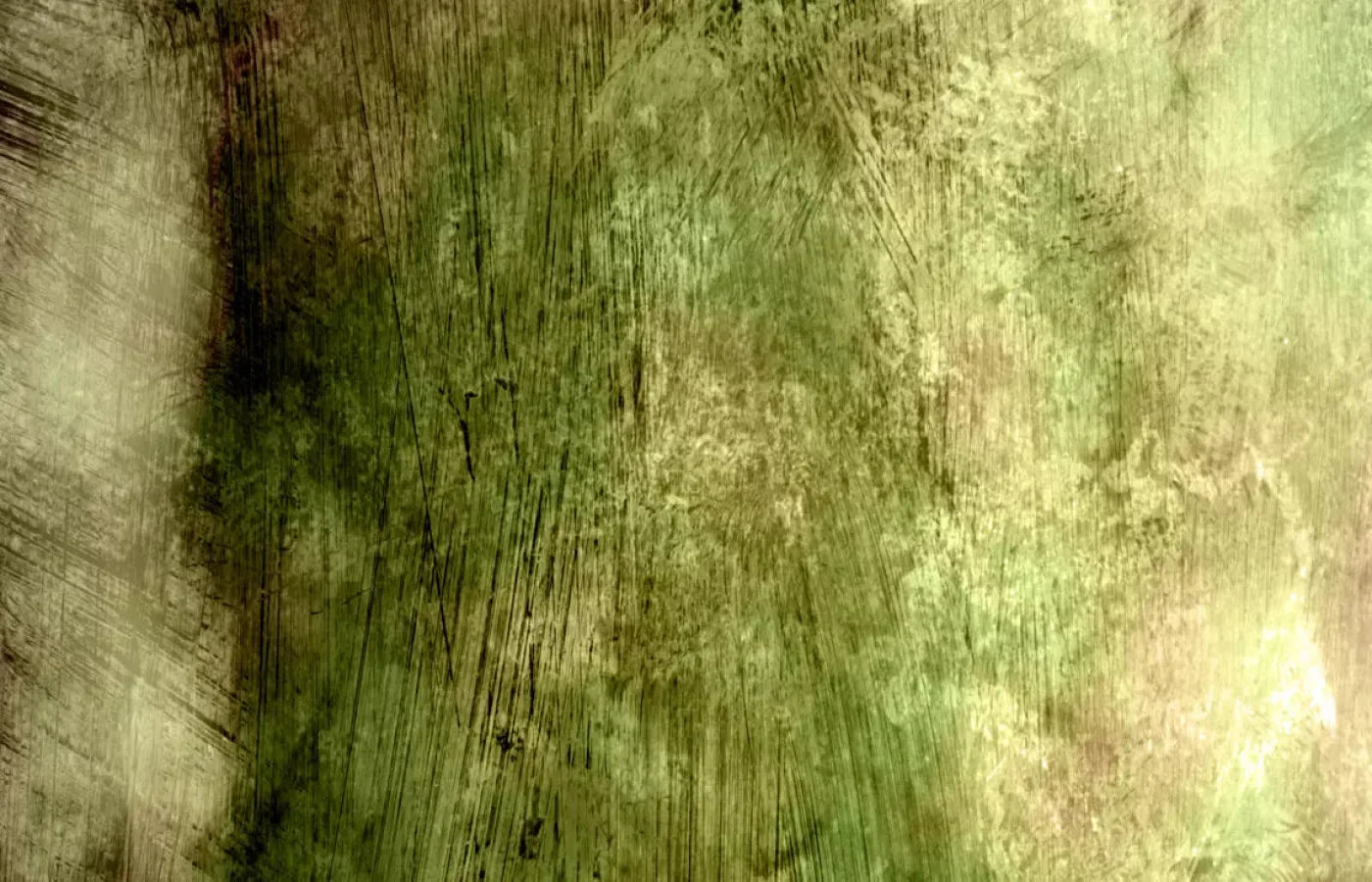 Algae 12X8 Ultracloth ( 144 X 96 Inch ) Backdrop