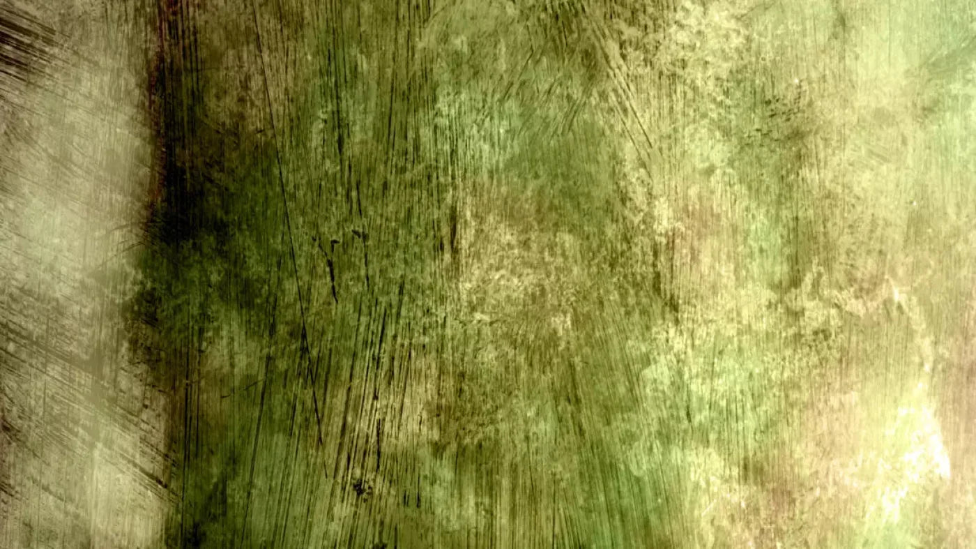 Algae 14X8 Ultracloth ( 168 X 96 Inch ) Backdrop