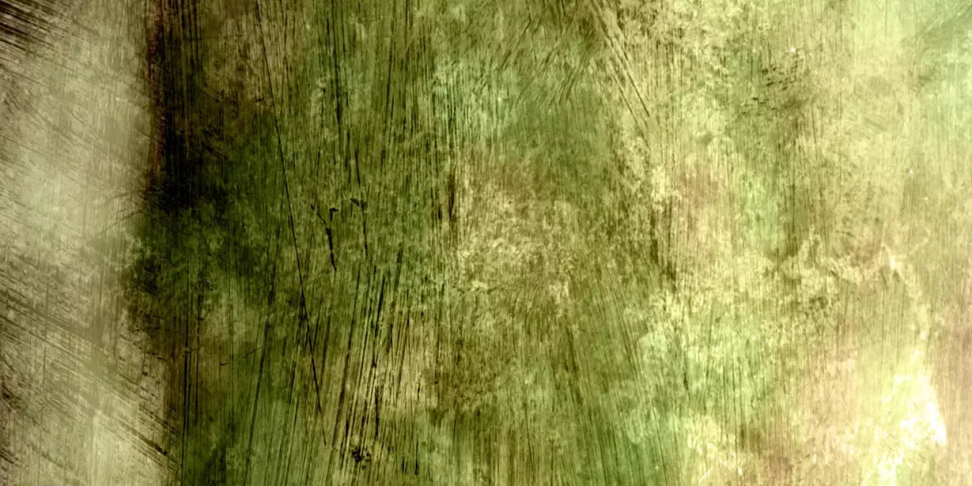 Algae 20X10 Ultracloth ( 240 X 120 Inch ) Backdrop