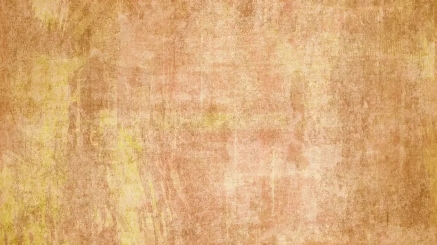 Allie Peach 14X8 Ultracloth ( 168 X 96 Inch ) Backdrop