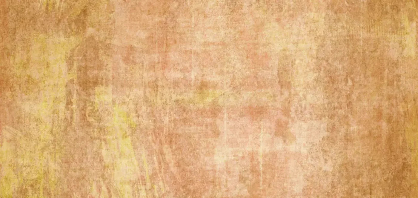 Allie Peach 16X8 Ultracloth ( 192 X 96 Inch ) Backdrop