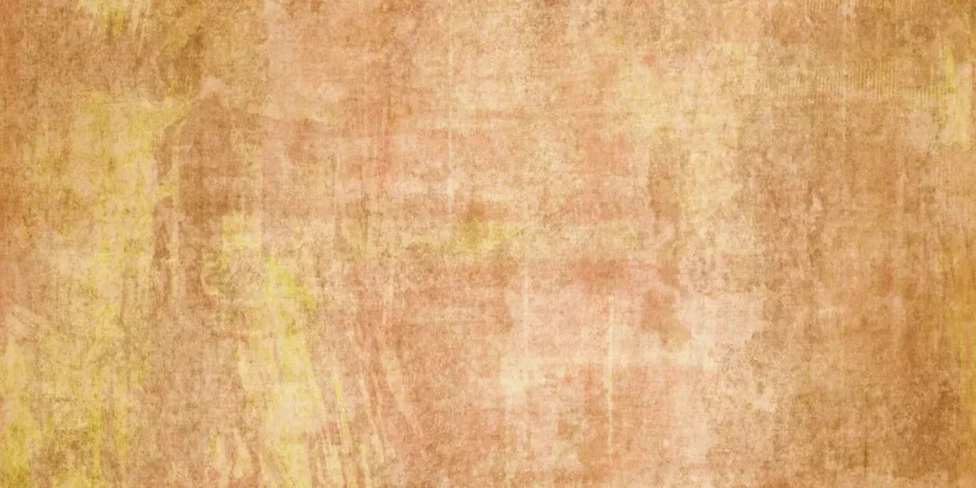 Allie Peach 20X10 Ultracloth ( 240 X 120 Inch ) Backdrop