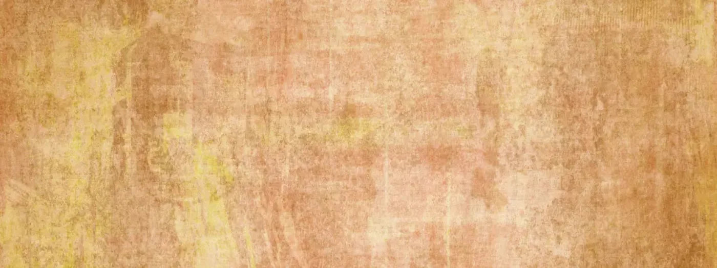 Allie Peach 20X8 Ultracloth ( 240 X 96 Inch ) Backdrop