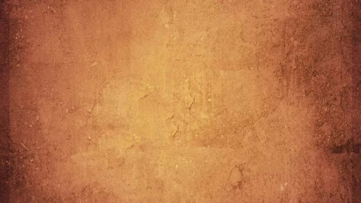 Amberlynn 14X8 Ultracloth ( 168 X 96 Inch ) Backdrop