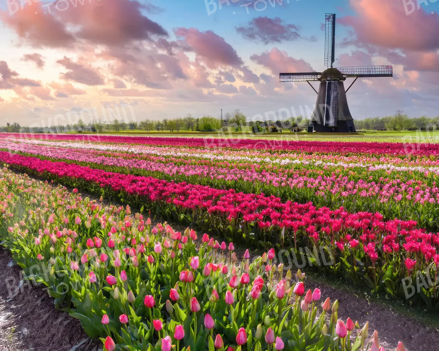 Amsterdam 10’x8’ Fleece (120 x 96 inch) Backdrop