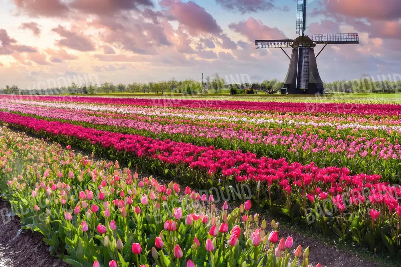 Amsterdam 12’x8’ UltraCloth (144 x 96 inch) Backdrop