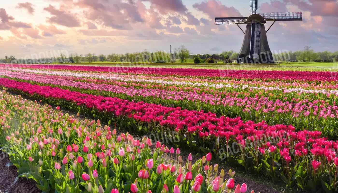 Amsterdam 14’x8’ UltraCloth (168 x 96 inch) Backdrop