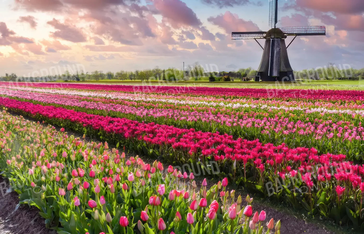 Amsterdam 14’x9’ UltraCloth (168 x 108 inch) Backdrop