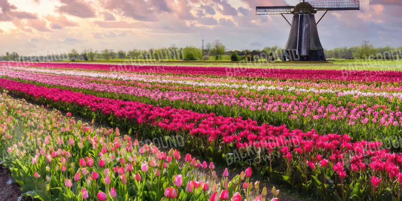 Amsterdam 16’x8’ UltraCloth (192 x 96 inch) Backdrop