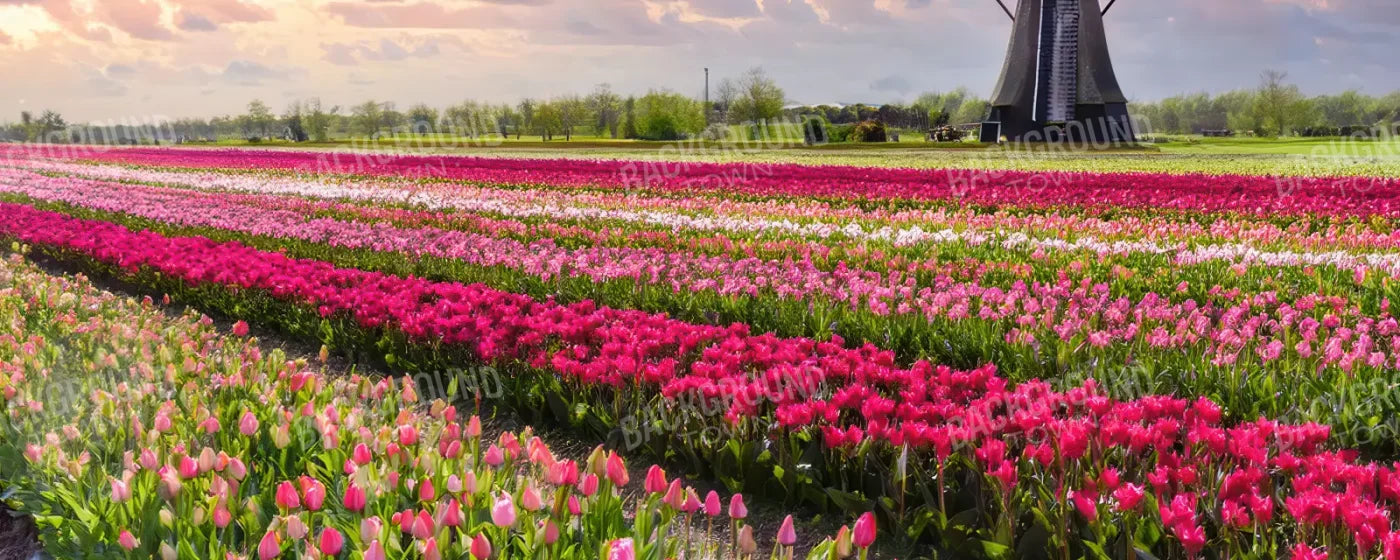 Amsterdam 20’x8’ UltraCloth (240 x 96 inch) Backdrop