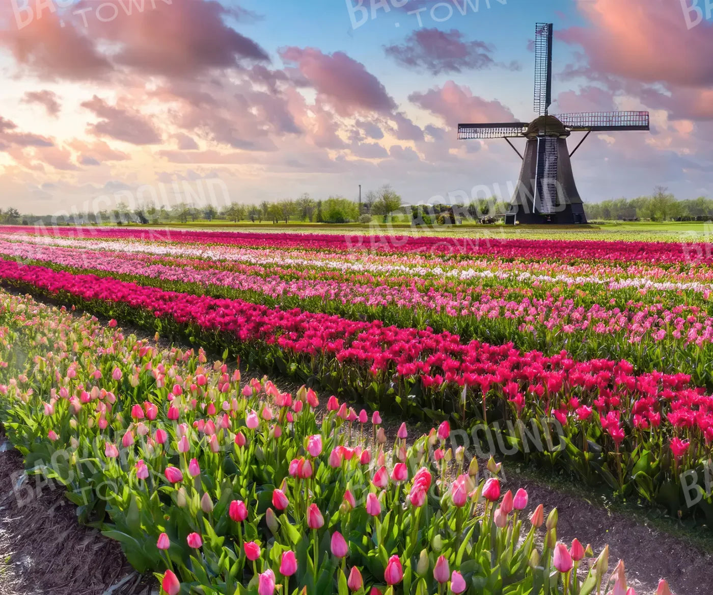 Amsterdam 5’x4’2 Fleece (60 x 50 inch) Backdrop