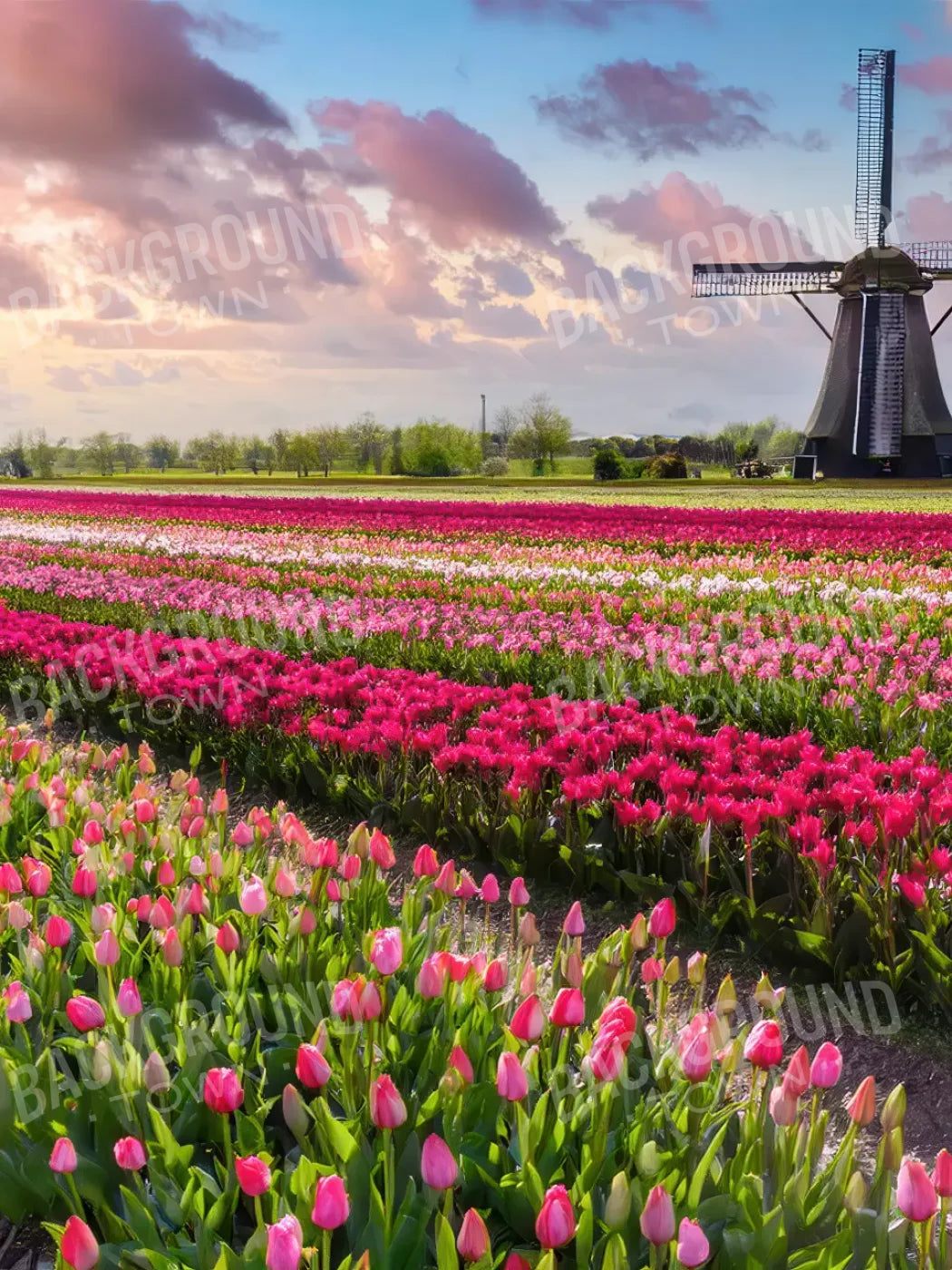 Amsterdam 5’x6’8 Fleece (60 x 80 inch) Backdrop