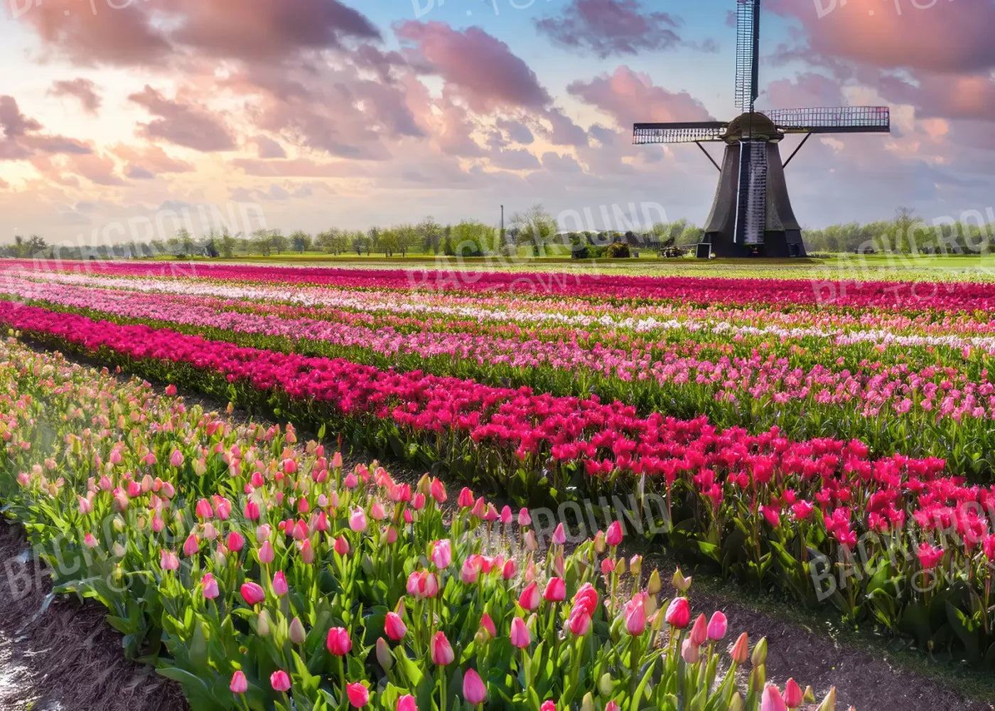 Amsterdam 7’x5’ UltraCloth (84 x 60 inch) Backdrop