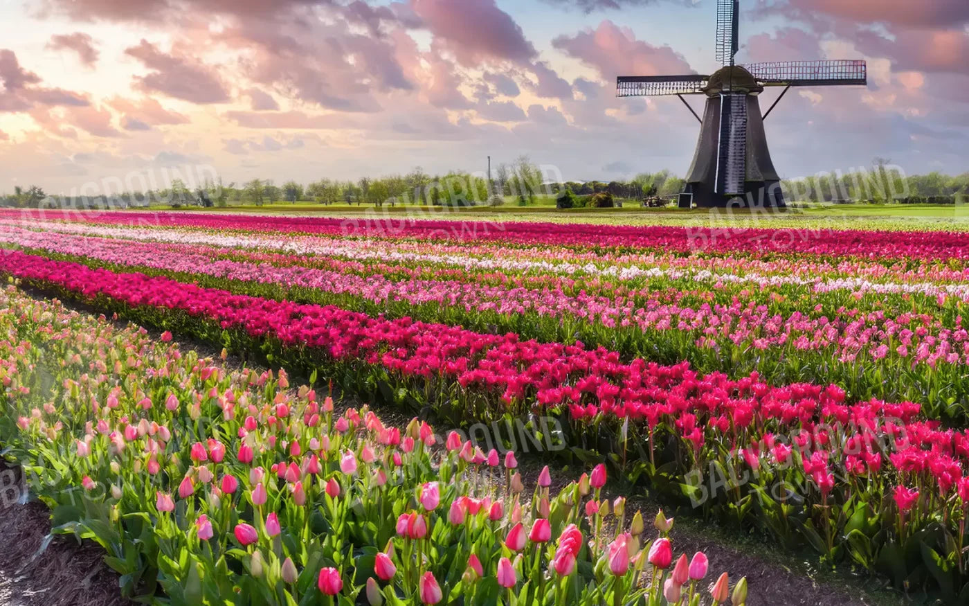 Amsterdam 8’x5’ UltraCloth (96 x 60 inch) Backdrop