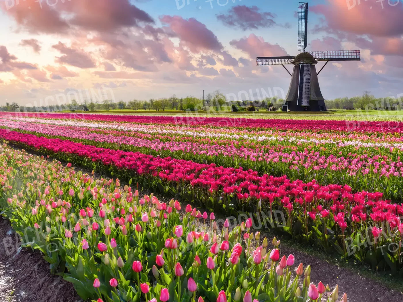 Amsterdam 8’x6’ Fleece (96 x 72 inch) Backdrop