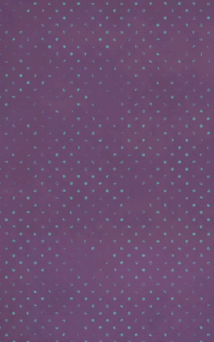Anastyn 9X14 Ultracloth ( 108 X 168 Inch ) Backdrop