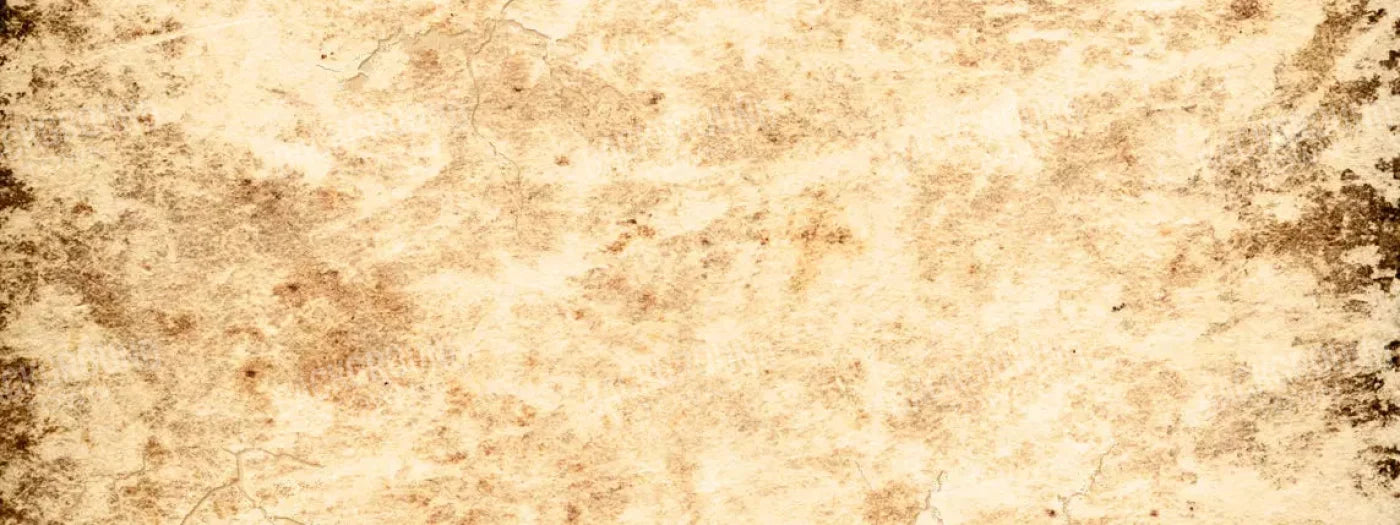 Ancient 20X8 Ultracloth ( 240 X 96 Inch ) Backdrop