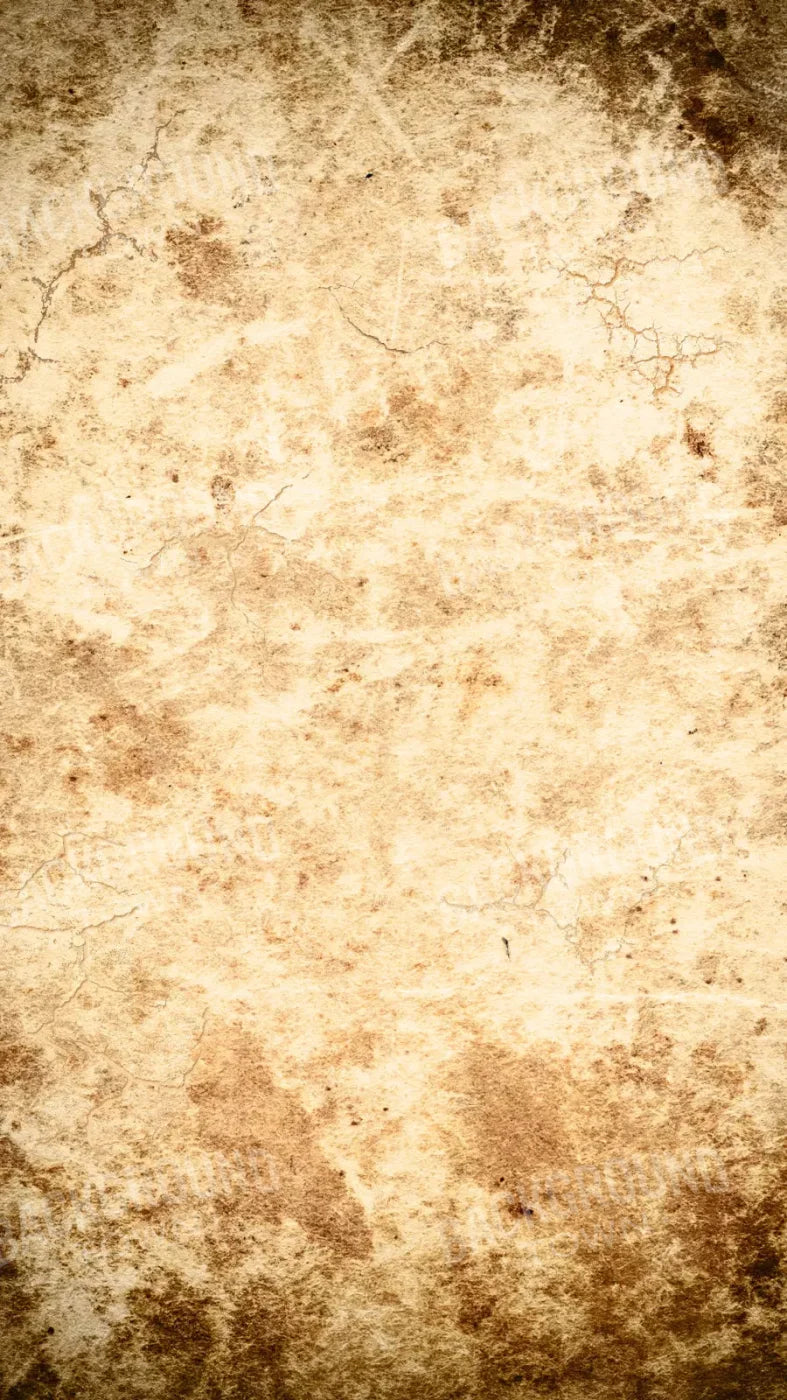 Ancient 8X14 Ultracloth ( 96 X 168 Inch ) Backdrop