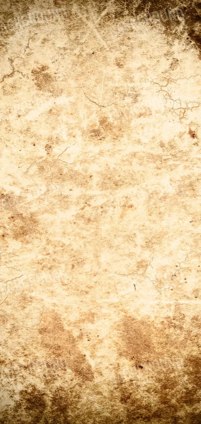 Ancient 8X16 Ultracloth ( 96 X 192 Inch ) Backdrop