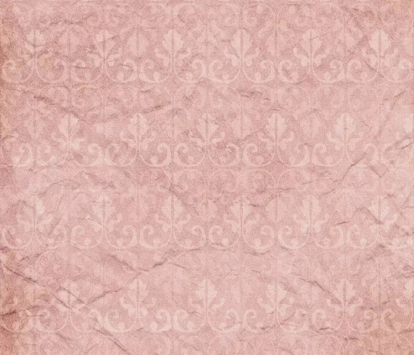 Andrea 12X10 Ultracloth ( 144 X 120 Inch ) Backdrop