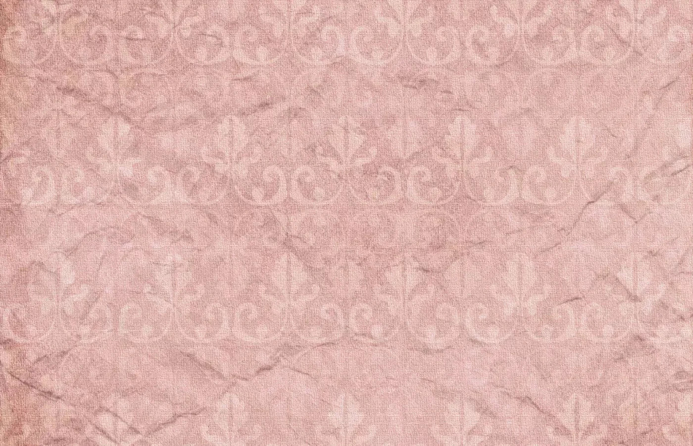 Andrea 12X8 Ultracloth ( 144 X 96 Inch ) Backdrop