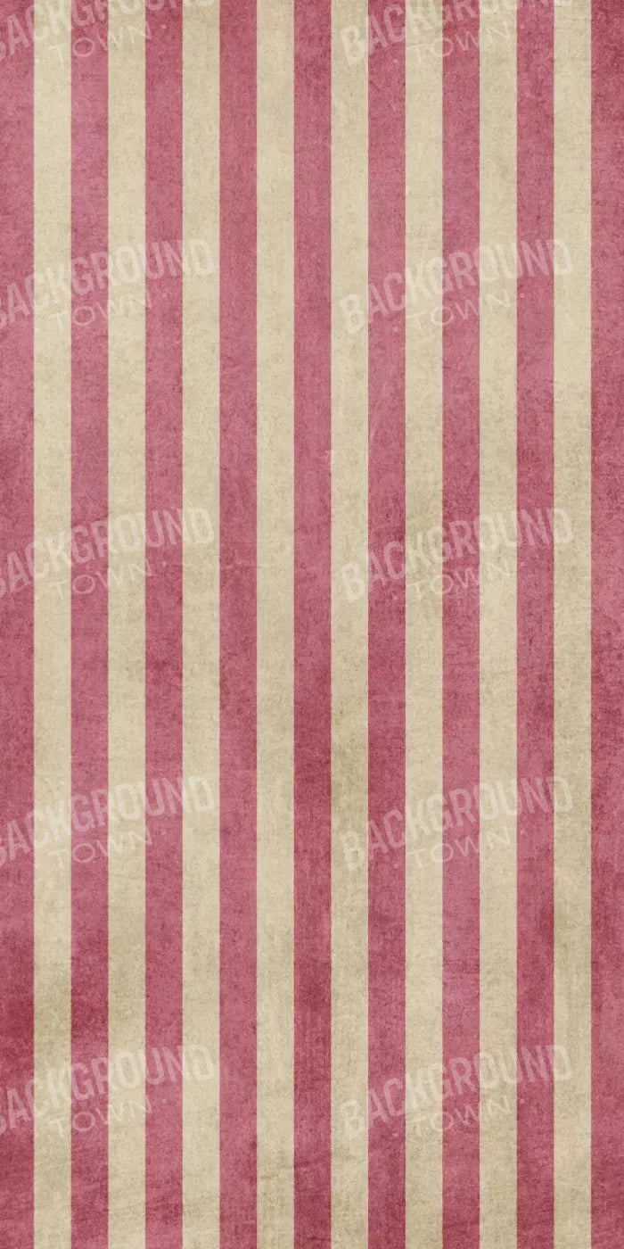 Annette 10X20 Ultracloth ( 120 X 240 Inch ) Backdrop