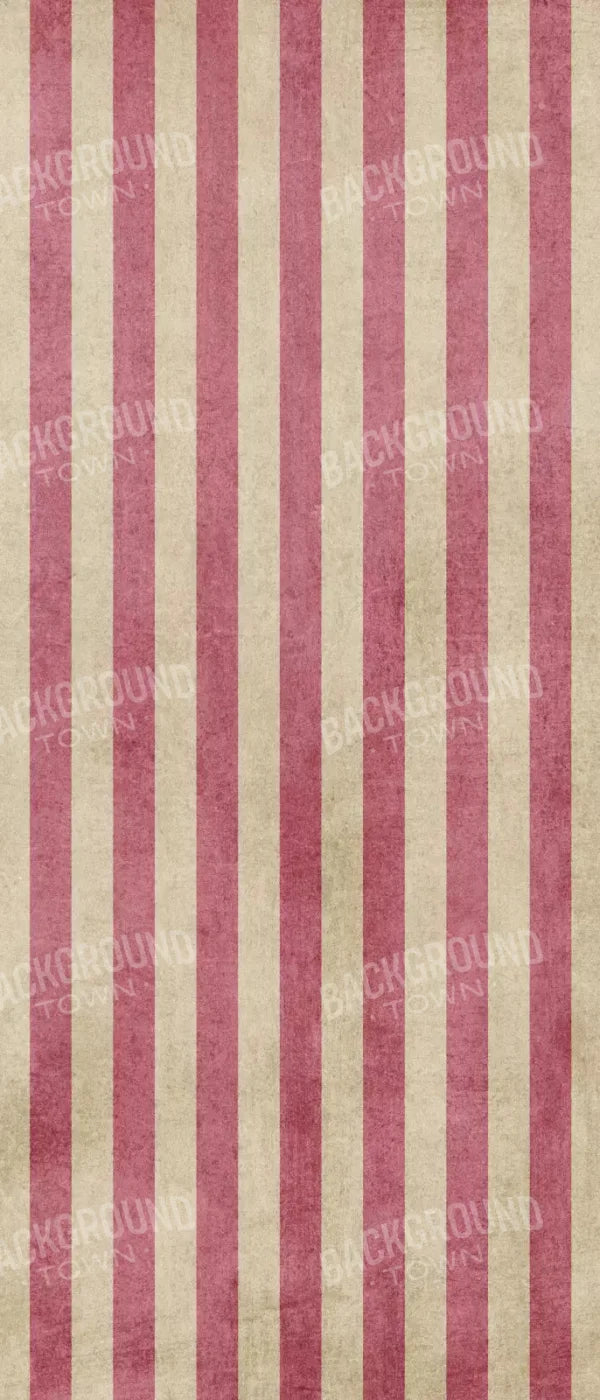 Annette 5X12 Ultracloth For Westcott X-Drop ( 60 X 144 Inch ) Backdrop