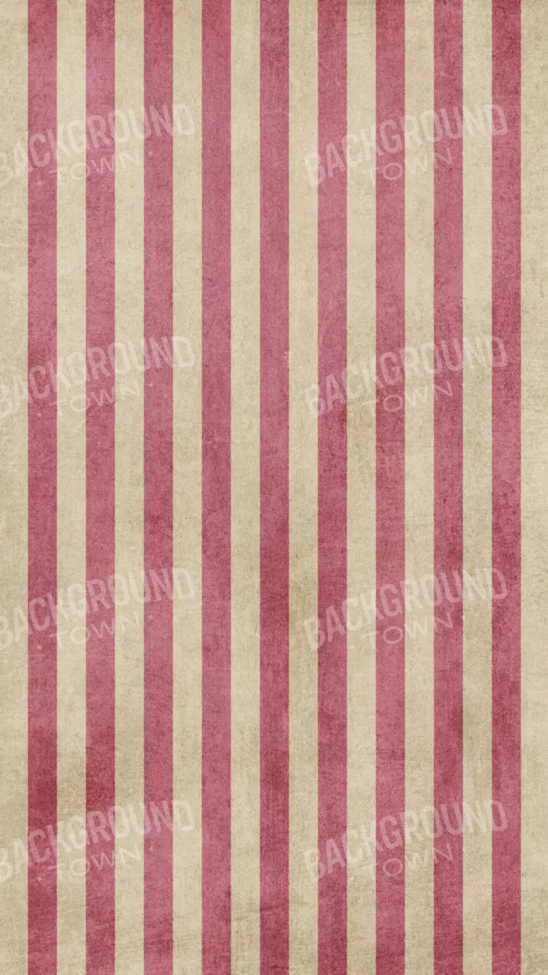 Annette 8X14 Ultracloth ( 96 X 168 Inch ) Backdrop