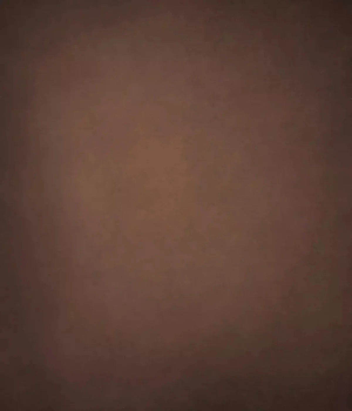 Annies Luxe Copper Medium 10X12 Ultracloth ( 120 X 144 Inch ) Backdrop