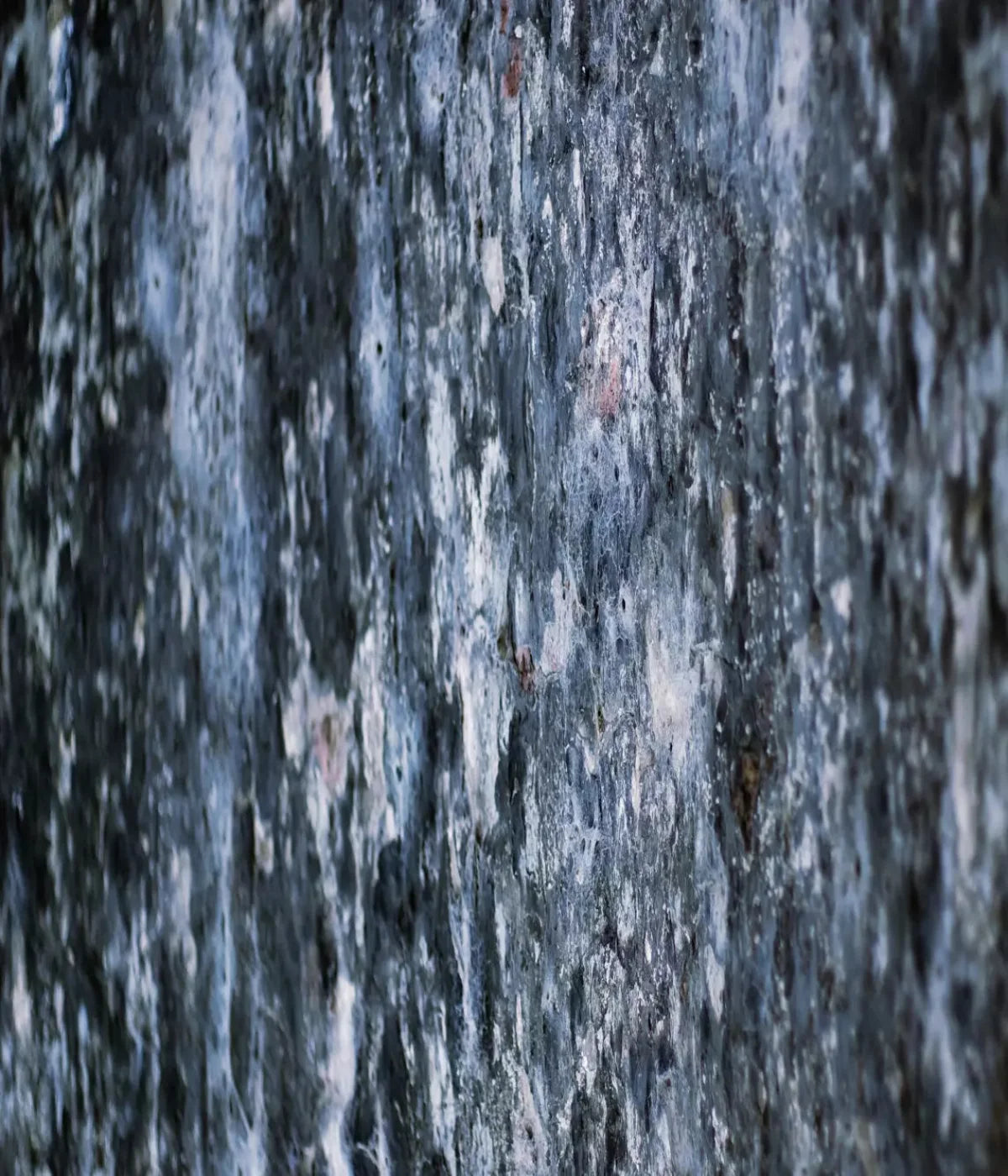 Anomoly 10X12 Ultracloth ( 120 X 144 Inch ) Backdrop