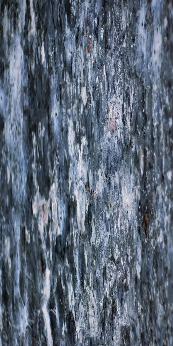 Anomoly 10X20 Ultracloth ( 120 X 240 Inch ) Backdrop