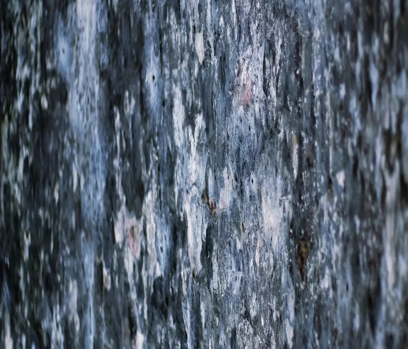 Anomoly 12X10 Ultracloth ( 144 X 120 Inch ) Backdrop