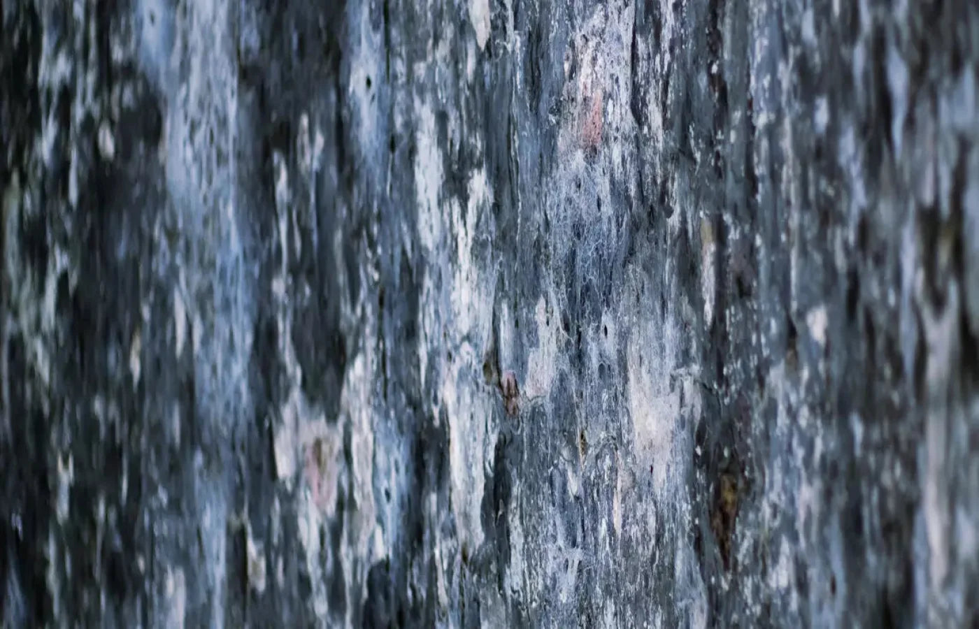 Anomoly 12X8 Ultracloth ( 144 X 96 Inch ) Backdrop