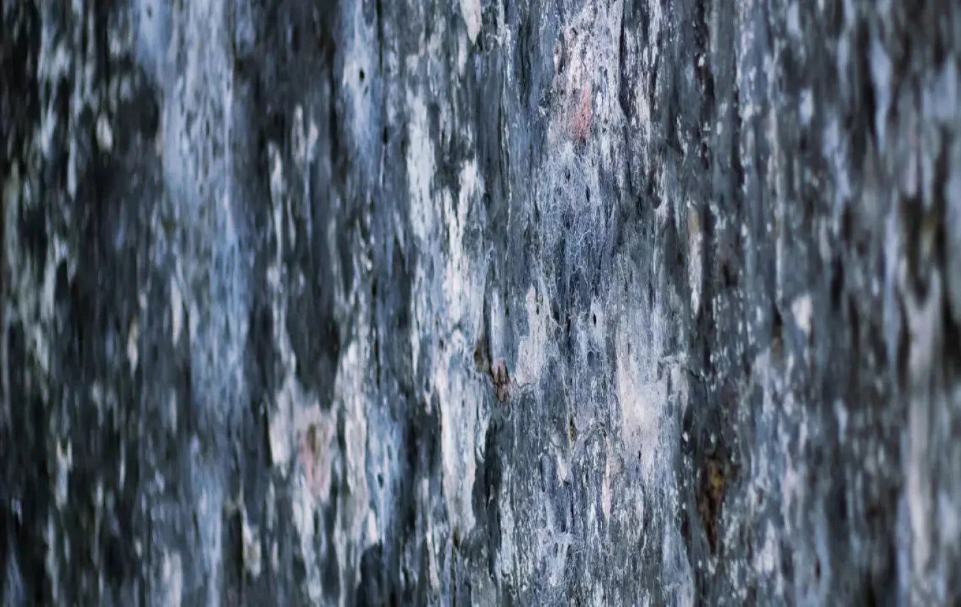 Anomoly 16X10 Ultracloth ( 192 X 120 Inch ) Backdrop