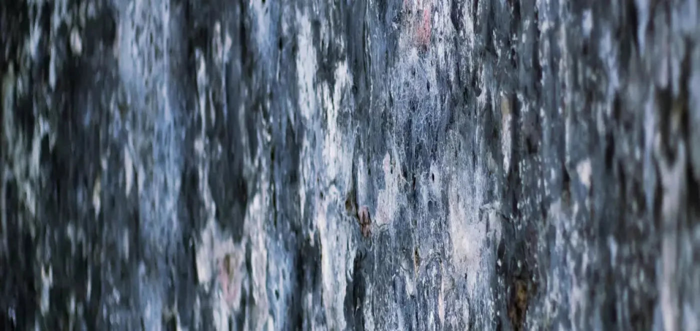 Anomoly 16X8 Ultracloth ( 192 X 96 Inch ) Backdrop