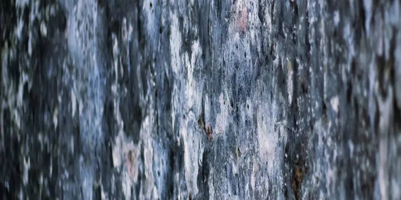 Anomoly 20X10 Ultracloth ( 240 X 120 Inch ) Backdrop