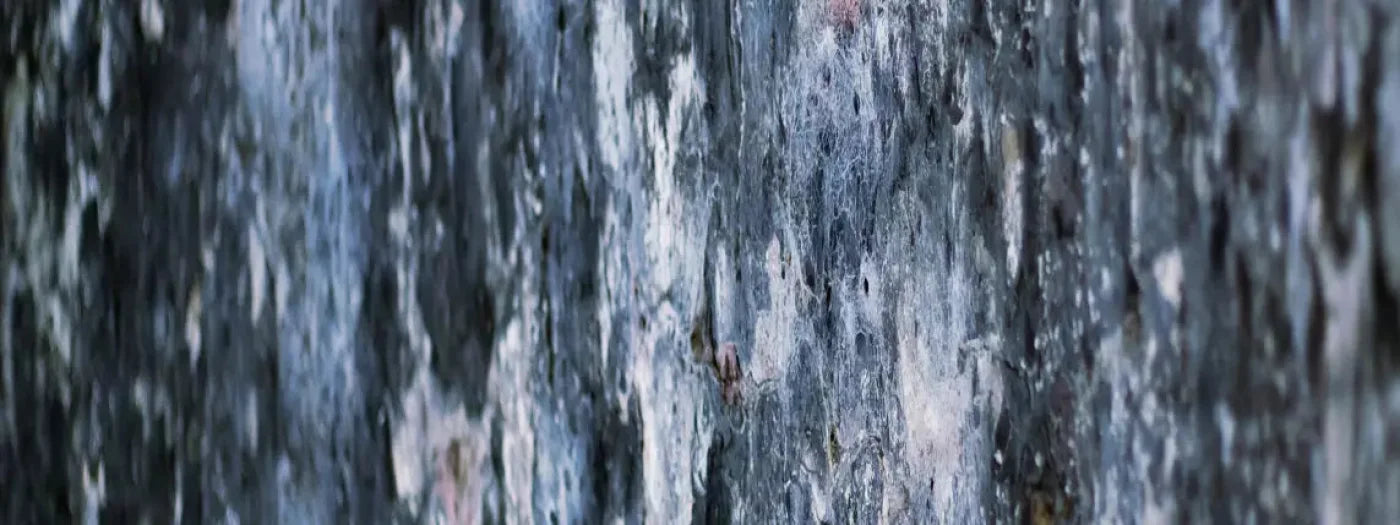 Anomoly 20X8 Ultracloth ( 240 X 96 Inch ) Backdrop