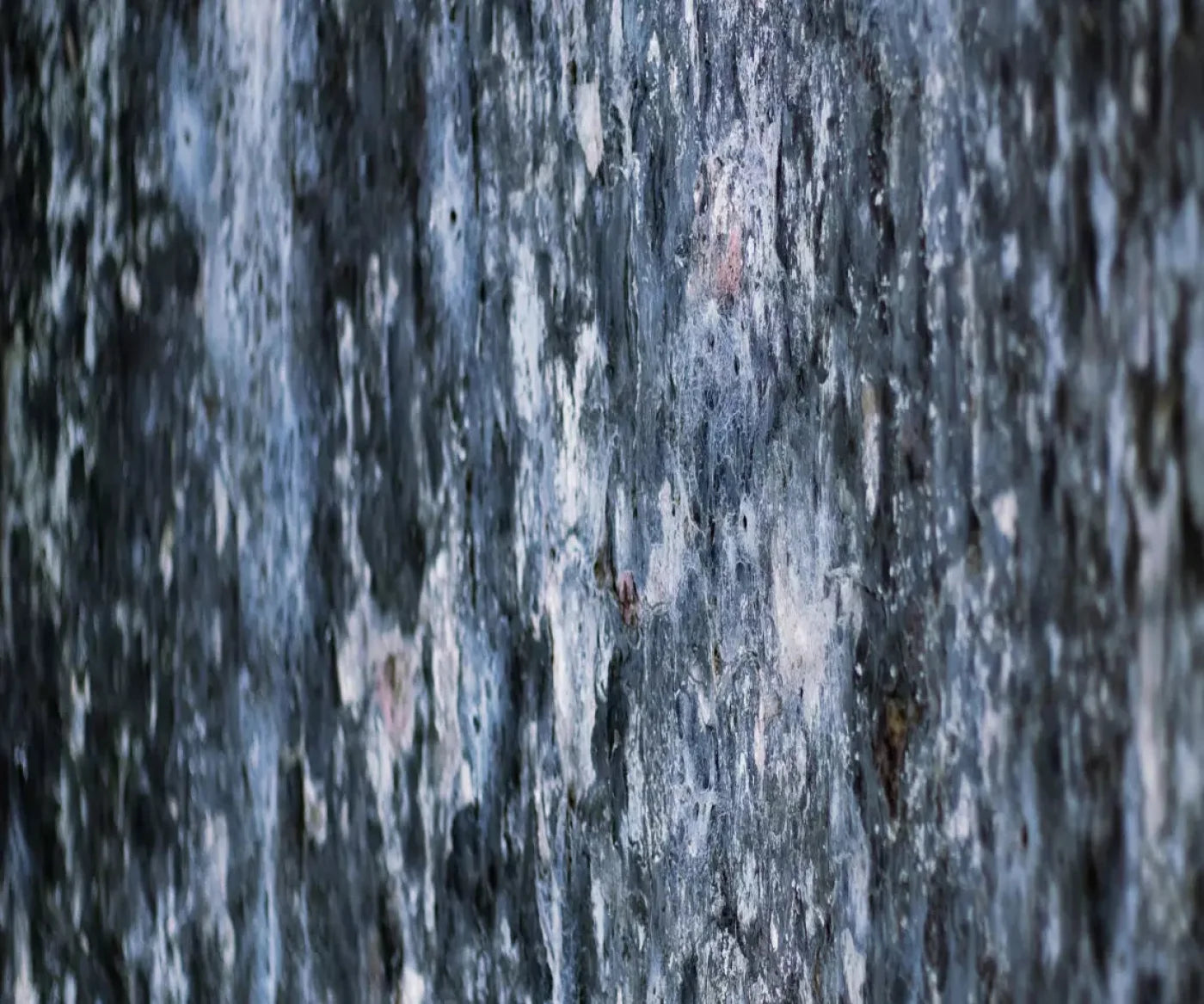 Anomoly 5X42 Fleece ( 60 X 50 Inch ) Backdrop