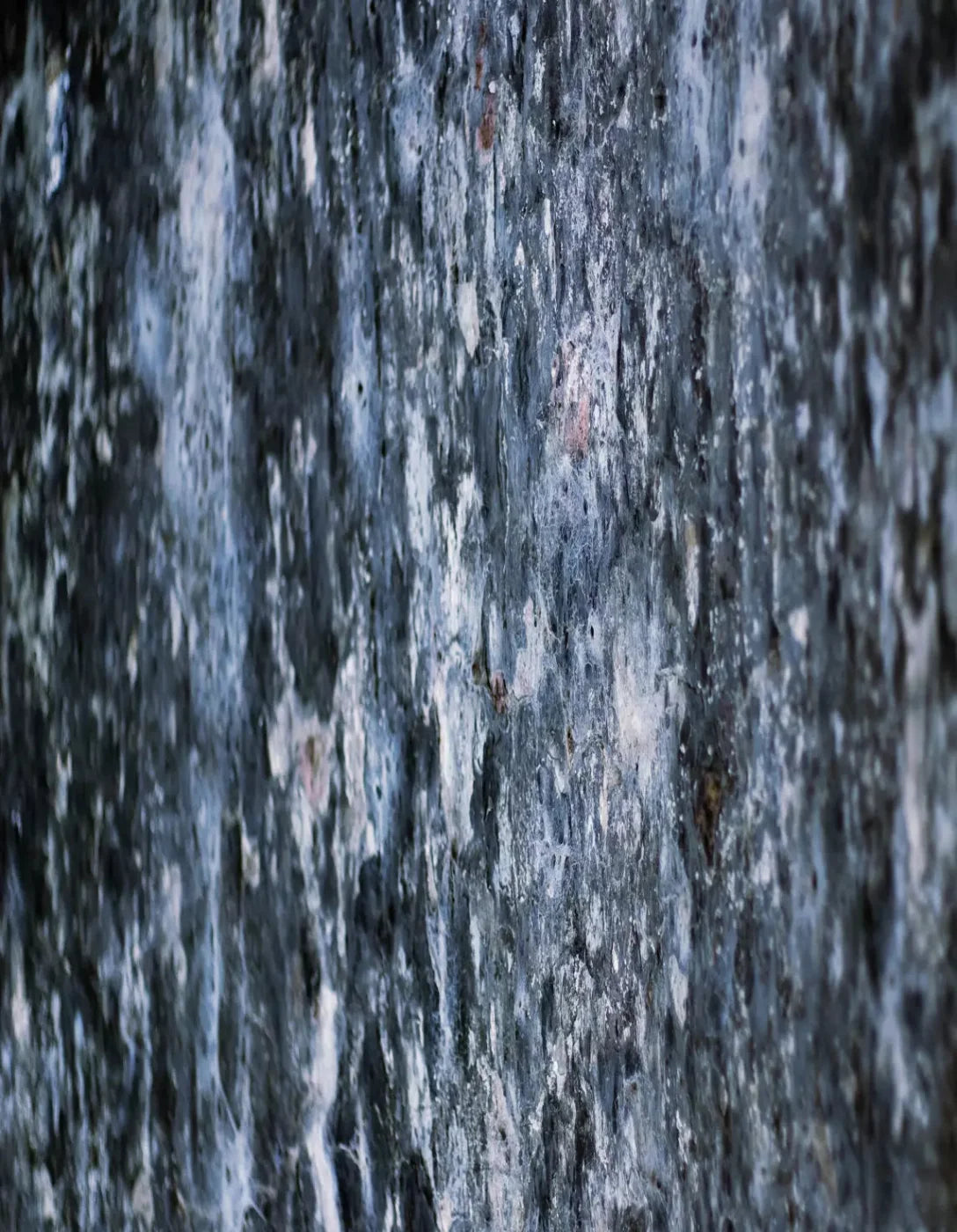 Anomoly 6X8 Fleece ( 72 X 96 Inch ) Backdrop