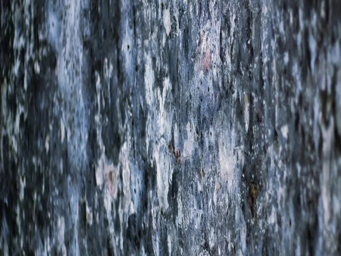 Anomoly 7X5 Ultracloth ( 84 X 60 Inch ) Backdrop