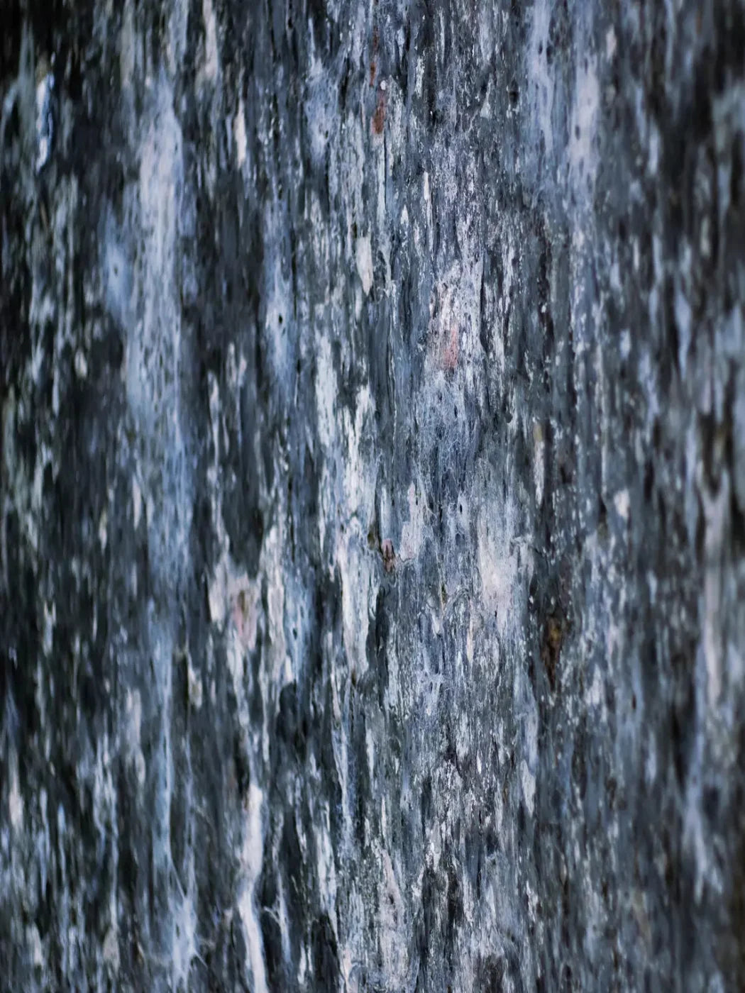 Anomoly 8X10 Fleece ( 96 X 120 Inch ) Backdrop