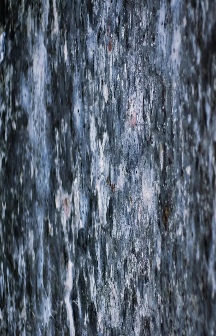 Anomoly 8X12 Ultracloth ( 96 X 144 Inch ) Backdrop