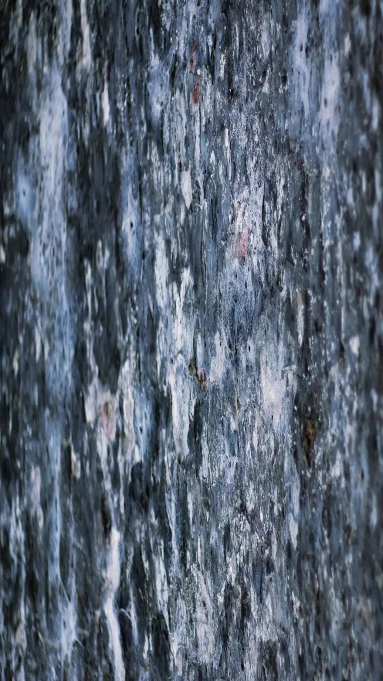 Anomoly 8X14 Ultracloth ( 96 X 168 Inch ) Backdrop