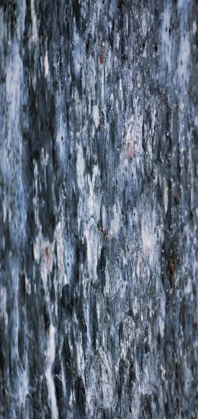 Anomoly 8X16 Ultracloth ( 96 X 192 Inch ) Backdrop