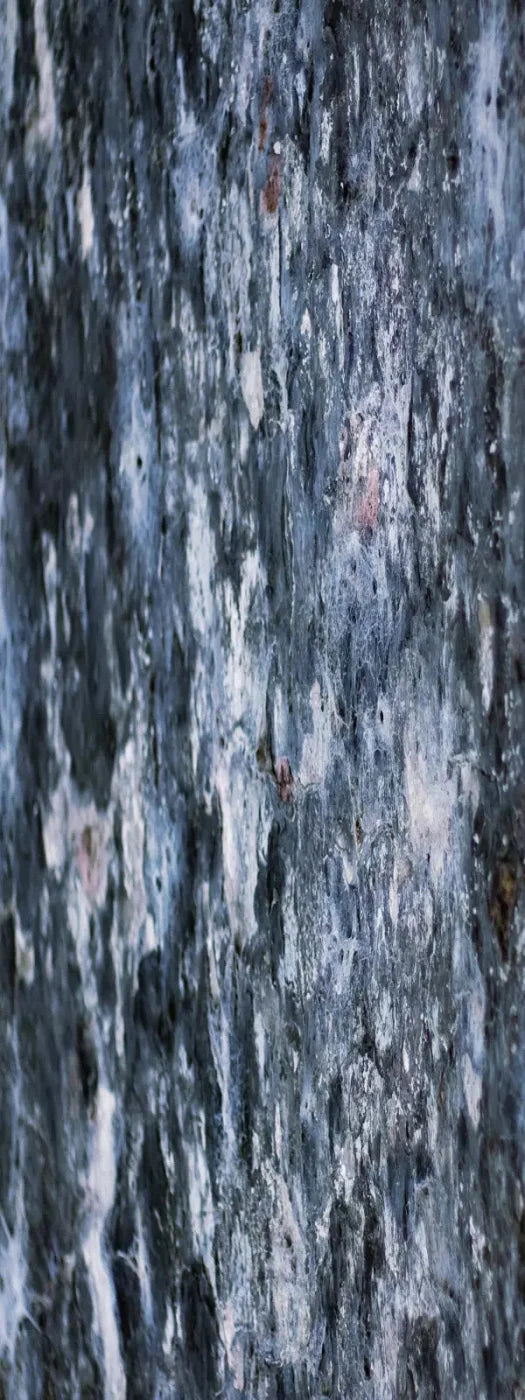 Anomoly 8X20 Ultracloth ( 96 X 240 Inch ) Backdrop