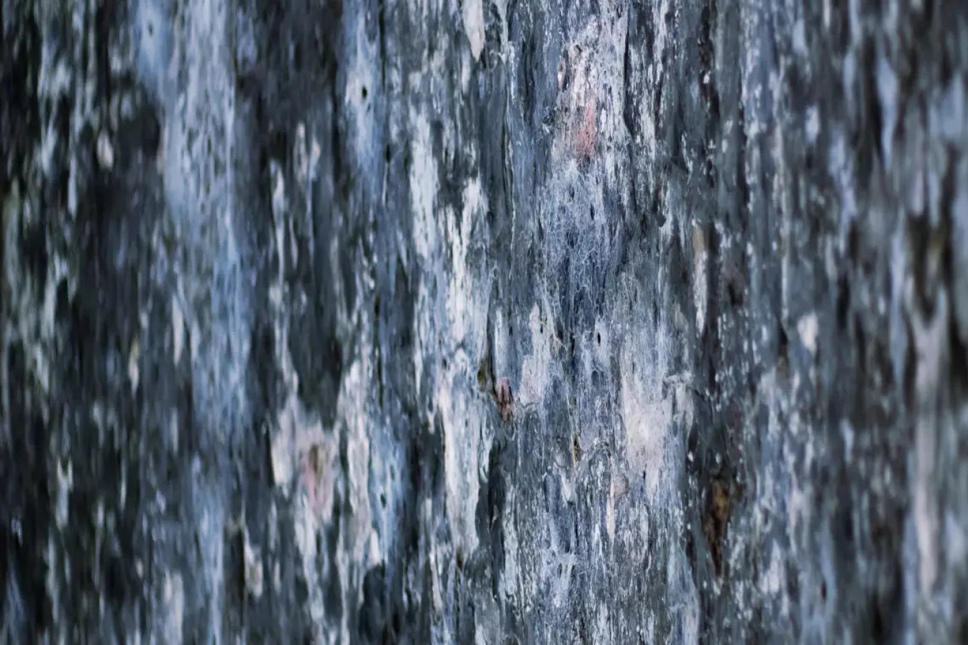 Anomoly 8X5 Ultracloth ( 96 X 60 Inch ) Backdrop