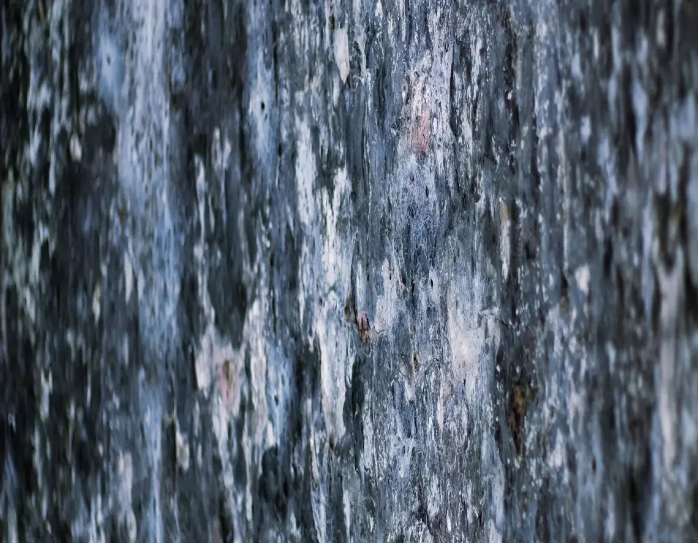 Anomoly 8X6 Fleece ( 96 X 72 Inch ) Backdrop