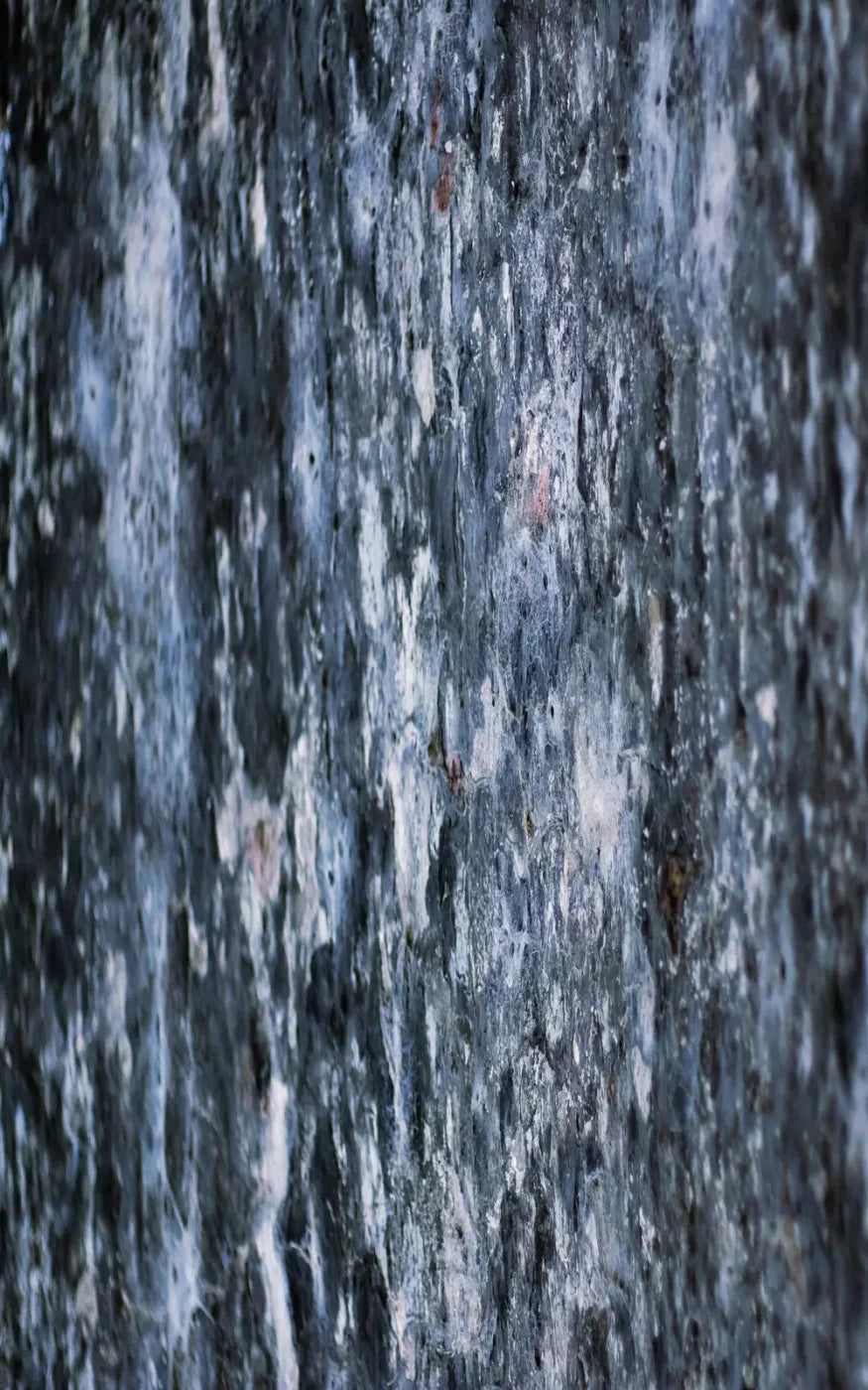 Anomoly 9X14 Ultracloth ( 108 X 168 Inch ) Backdrop